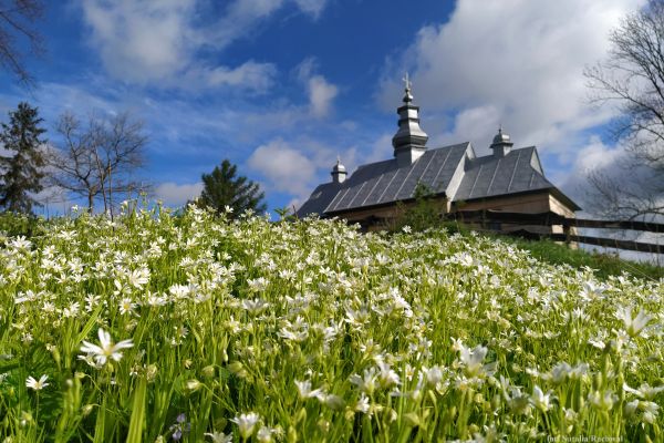 Jałowe