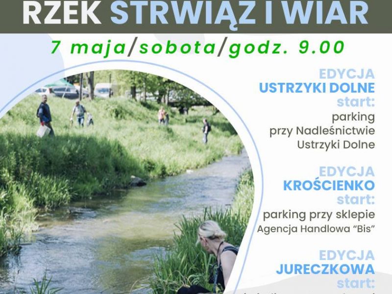 Sprzątanie Strwiąża