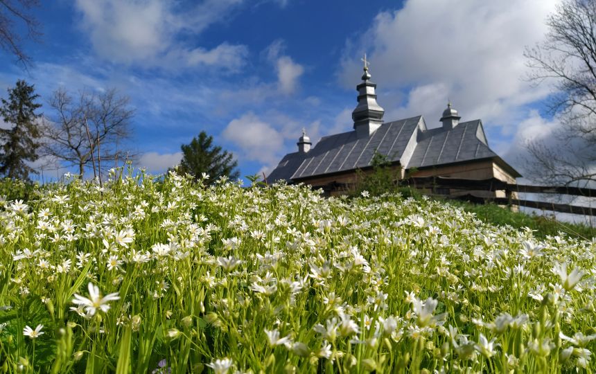 Jałowe